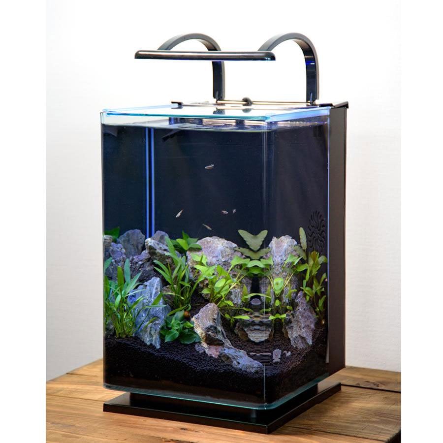 （熱帯魚）（水草）テトラ　リビングキューブ　ＬＣ－２０　アカヒレ＆水草セット　説明書付き　本州四国限定　ＣＲＣ10―11―03―10―99