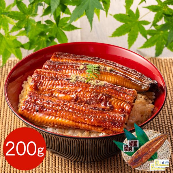 特大 鹿児島県産うなぎ蒲焼セット 200g / 国産 鰻 ウナギ 冷凍