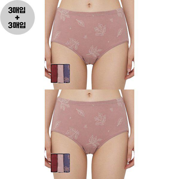 女性60番手綿スパンデックスショーツ マキシレディース三角ショーツ 6枚セット 下着ギフト