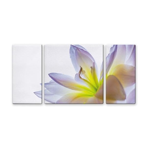 アート アートパネル 写真 3枚セット 大型 100×50cm アートパネル 壁掛け キャンバス 3分割 インテリア 風景 情景 lily ユリ 花