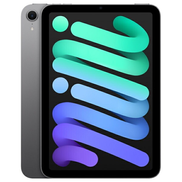 MXNA3J/A スペースグレイ iPad mini (A17 Pro) タブレットPC 8.3型 / Wi-Fiモデル / 256GB