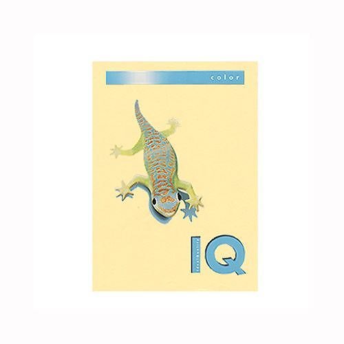 （まとめ買い）伊東屋 バイオトップカラーA4（500枚入） BT501 ｸﾘｰﾑ 00032223 [x3]