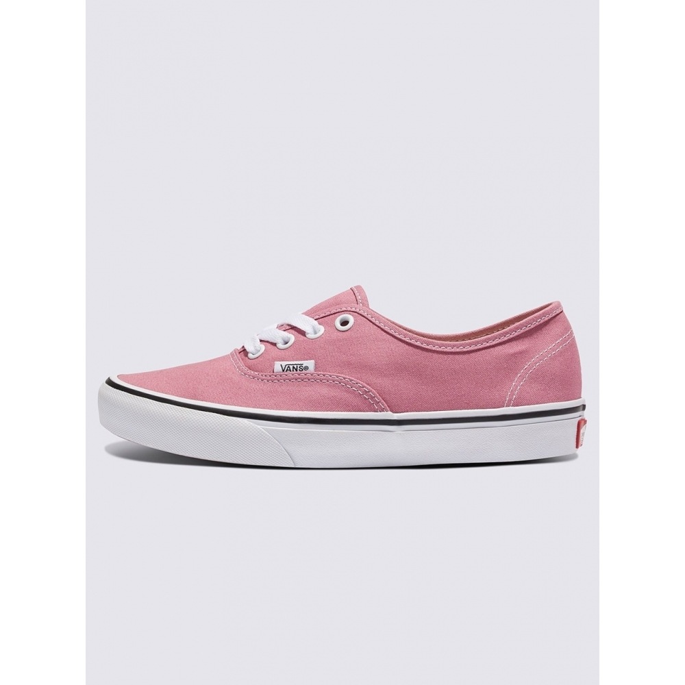 VANS カラーティアリーオーセンティックオーセンティック VN0A2Z3Z3S1