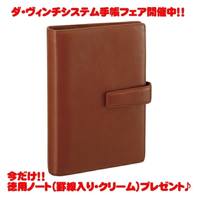 【ラッピング無料】【名入れ可(有償)】 レイメイ藤井 Raymay ダヴィンチ ダヴィンチ ブラウン 聖書 サイズ システム手帳 リング24mm DB3005C ビジネス スタンダード スーパーロイ