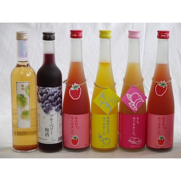 果実リキュール6本セット 紀州産 南高梅使用ブルーベリー梅酒 500ml（和歌山）百助 生姜梅酒
