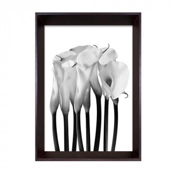 Photography art Calla アートパネル IBC-53408