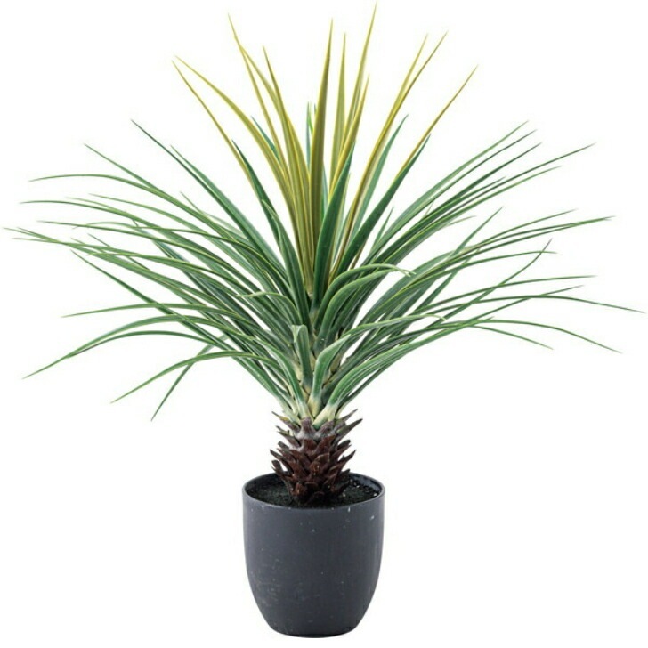 フェイクグリーン ミニパイナップル 人工観葉植物 葉 造花 インテリア 癒し グリーン リーフ おしゃれ ガーデン 室内 飾り GRN-12