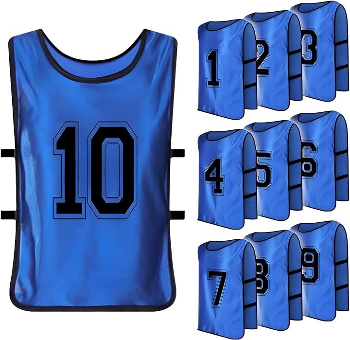 ビブス 大人用 番号入り 10枚セット 男女兼用 イベント スポーツ 練習試合( ブルー)