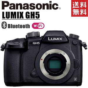 LUMIX GH5 DC-GH5 ボディ ルミックス ブラック ミラーレス一眼 カメラ 中古