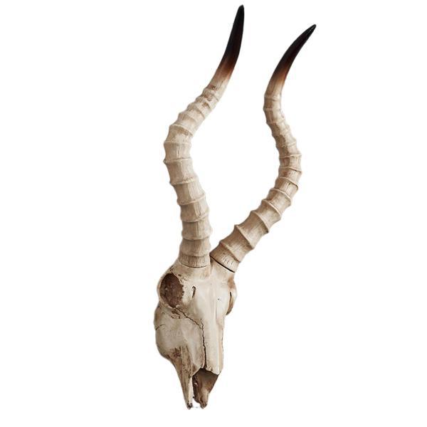 インテリア 壁掛け 動物 壁掛け インテリア 鮮やか C 56.5×21.5×13cm
