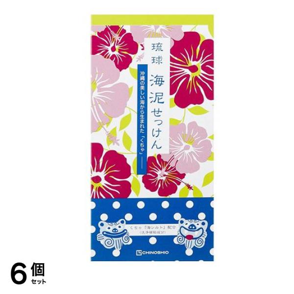 琉球海泥せっけん 100g (×2個入り) 6個セット