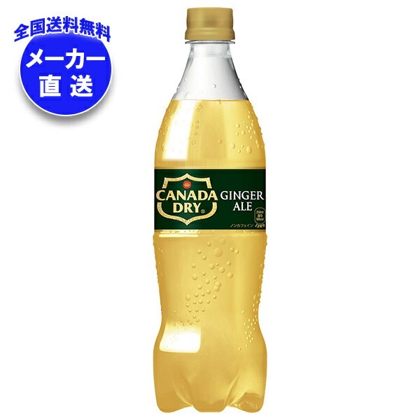 メーカー直送品コカコーラ カナダドライ ジンジャーエール 700mlPET＊20本入＊(2ケース)