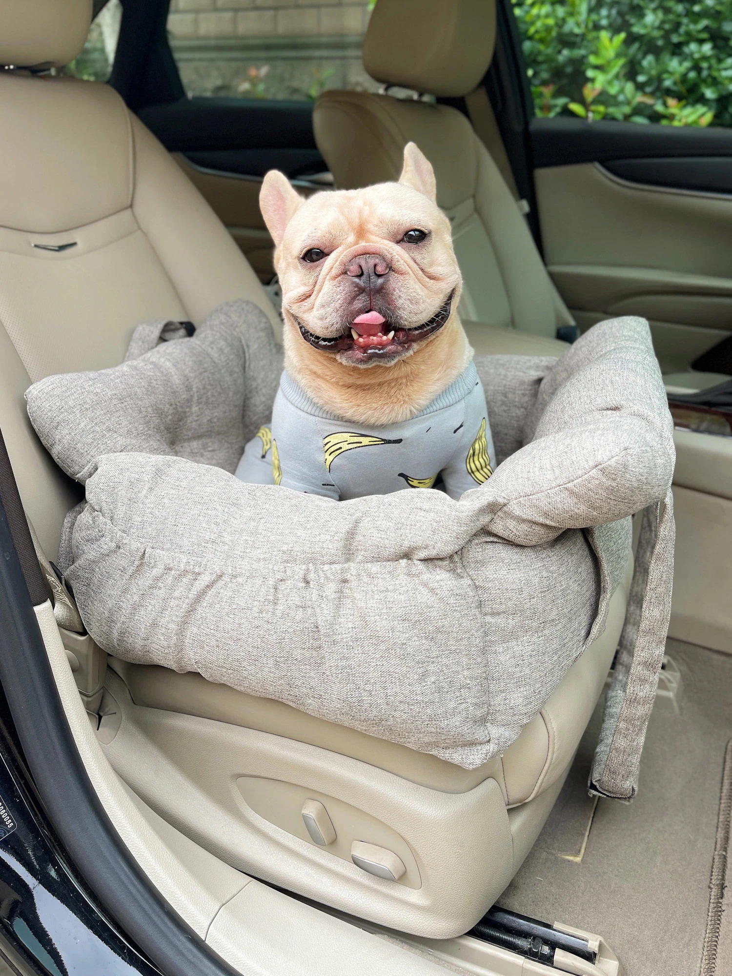 ソファーベッド ベッド ドライブベッドキャリー 犬 お出かけ 便利 10KG以内の犬向け おしゃれ カーベッド バッグ 多機能 ラディカ