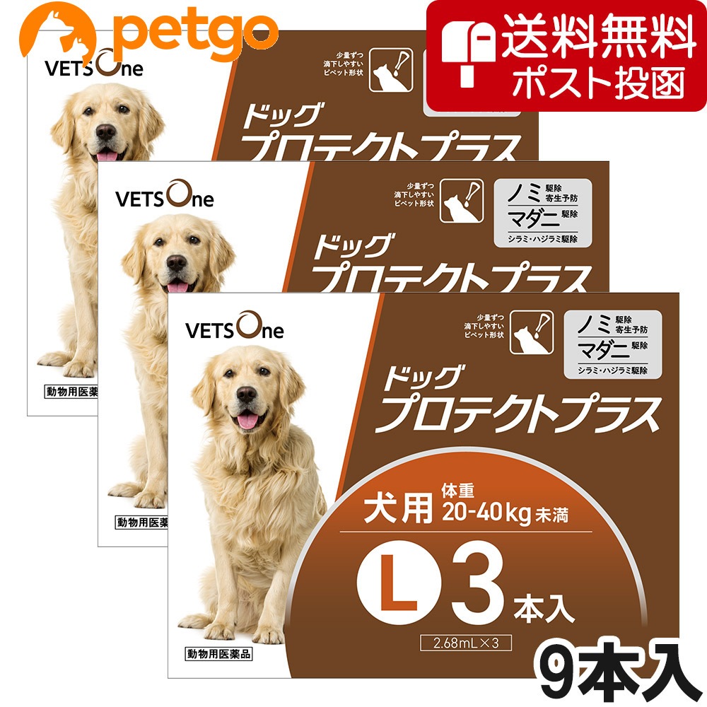 【ネコポス(同梱不可)】【3箱セット】ベッツワン ドッグプロテクトプラス 犬用 L 3本 (動物用医薬品)