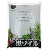 チャーム Qoo10店