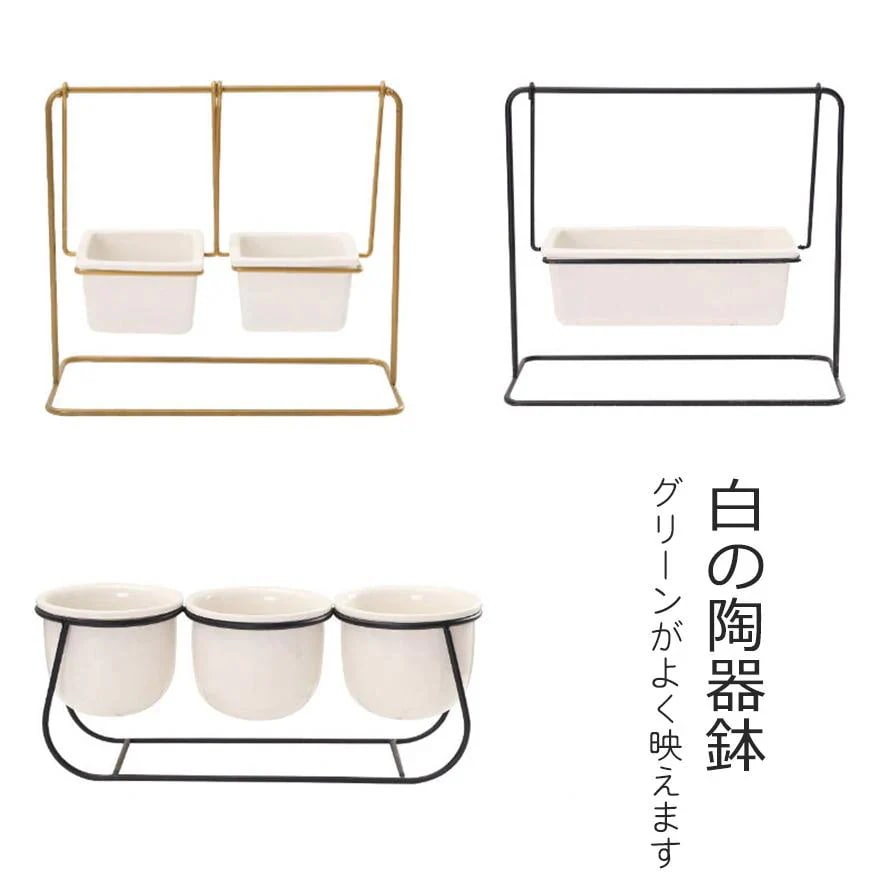 可愛い 多肉植物の寄せ植え鉢 [10月推奨/20%OFF]小さめ植木鉢 送料無料 サボテン ミニ 多肉植物 プランター おしゃれ