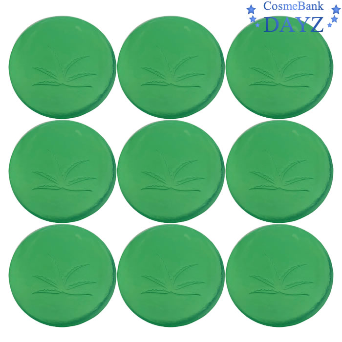 パール化研 パールクィーン アロエソープ AEX 100g　9点セット　　洗顔石鹸　　固形石鹸 洗顔ソープ