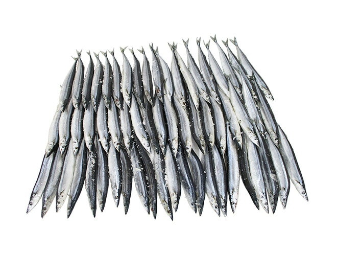 北海道産 =塩さんま= 55-70尾前後 約7.5kg サンマ 秋刀魚