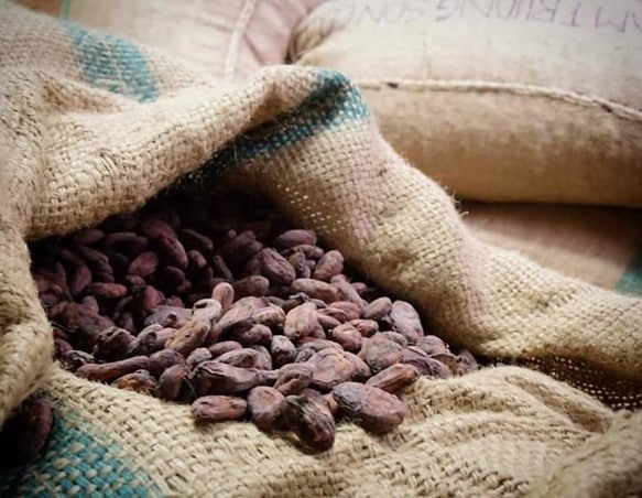 業務用に直輸入カカオ豆　Dak Lak産(ベトナム）１０ｋｇバラ箱入れ 27,170円