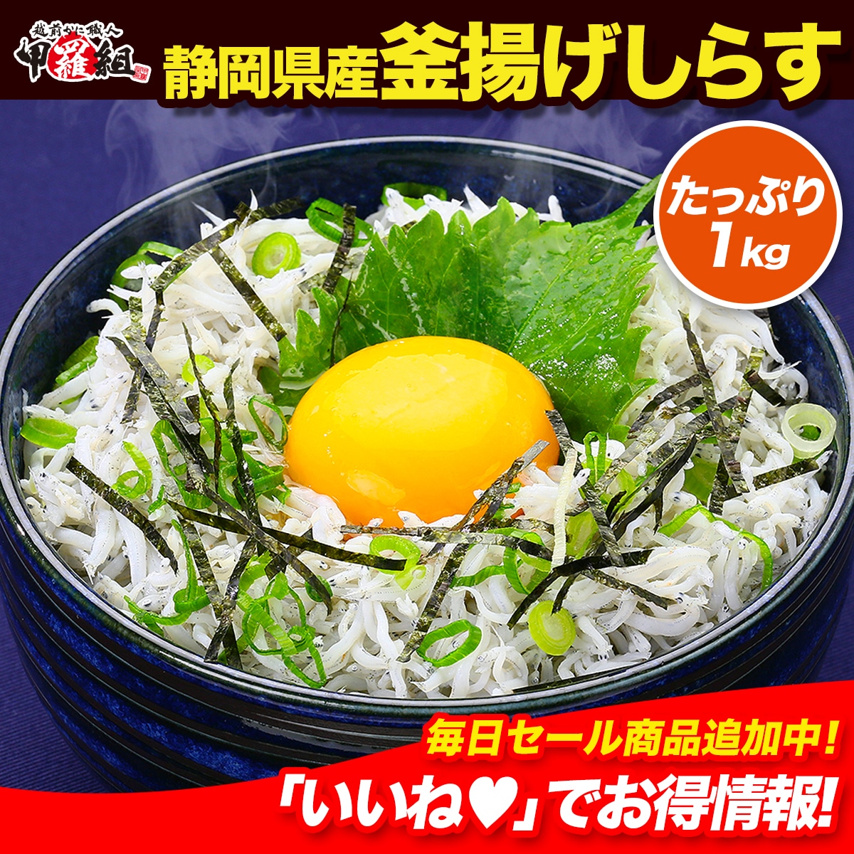無添加＆無漂白の一級品！【静岡県産】釜揚げしらす業務用たっぷり1kg食べ放題 釜揚げしらす シラス しらす シラス干し しらす干し ちりめん チリメン ご飯のお供 朝食