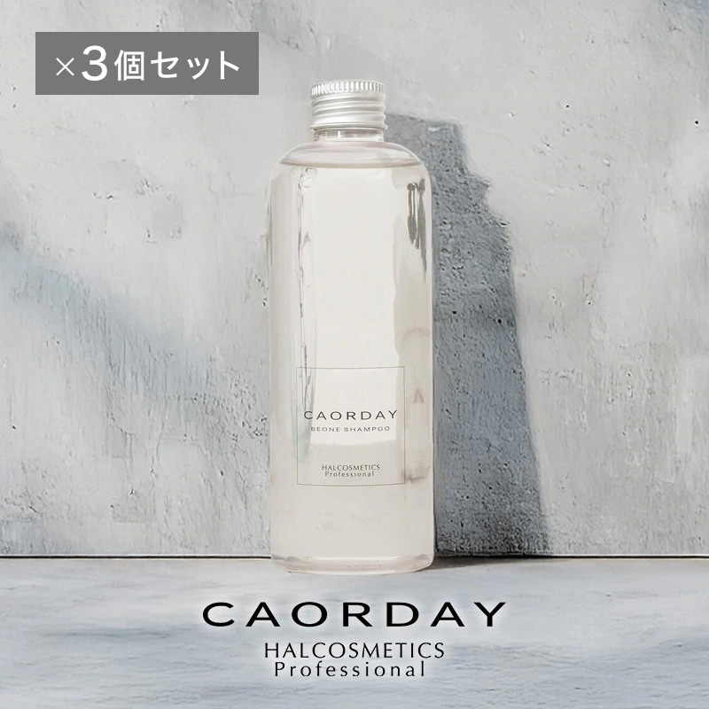 【公式】ハル コスメティックス ビーワンシャンプー 300ml×3個セット ダメージケア くせ毛改善 美容室専売品 アミノ酸 おすすめ サロン専売品 くせ毛 アミノ酸 50代