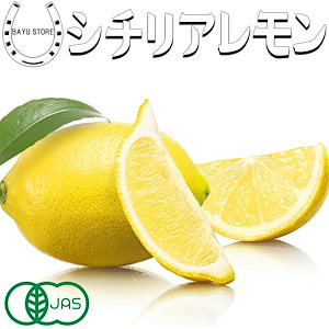 有機 JAS シチリアレモン くし切り 500g 農薬不使用 防腐剤 防かび剤不使用 ノーワックス