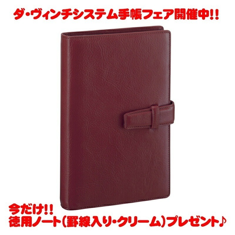 【ラッピング無料】【名入れ可(有償)】 レイメイ藤井(Raymay) ダヴィンチシステム手帳 聖書サイズ(バイブルサイズ) ワイン DB3006Z ビジネススタンダード スーパーロイスレザー リング手帳