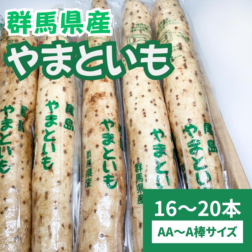 山芋 大和芋 やまといも 群馬県産 16～20本 AA～A棒 1箱 とろろ 冷蔵 クール便 やまいも とろろ芋 箱 粘り 粘り抜群 箱買い