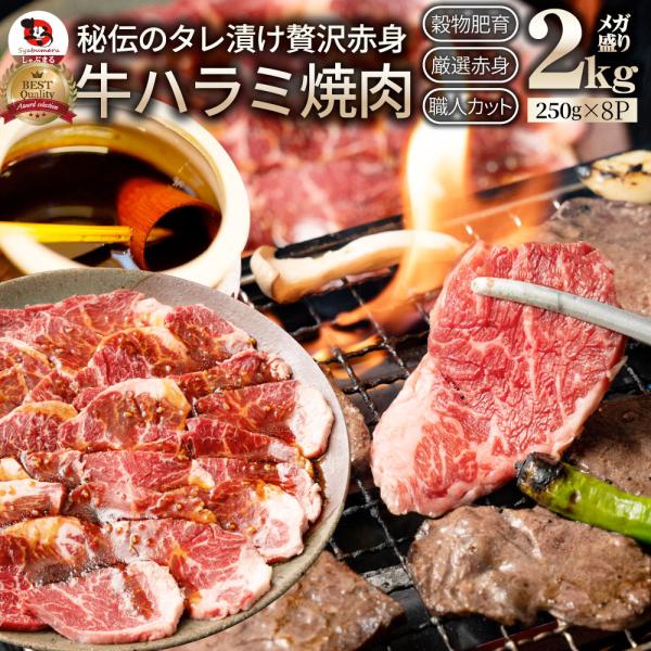 牛ハラミ焼肉（タレ漬け）2kg（250g×8） タレ 赤身 はらみ 秘伝 焼肉 やきにく ハラミ アウトドア BBQ キャンプ まとめ買い割引