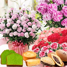 母の日 プレゼント 花 スイーツ ギフト 選べるお菓子と選べる カーネーション のセット 5月6日から12日お届け日付指定不可