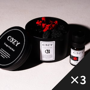 【3個入り】コージー済州火山石ストーンディフューザー芳香剤 【COZY Fragrance】