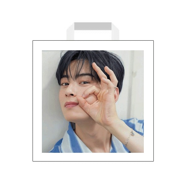 『クッションが入る！』CHA EUNWOO チャウヌ ランダムＢＯＸ 福袋 韓流 グッズ 韓国 アイドル KPOP クリスマス 2024 2025