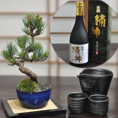 【遅れてごめんね父の日ギフト】盆栽と日本酒と酒器のセット 樹齢5年 松盆栽 五葉松 と盆栽の里香川の地酒 金陵 ギフト 贈り物 プレゼント 父の日 敬老の日 お誕生日 盆栽妙