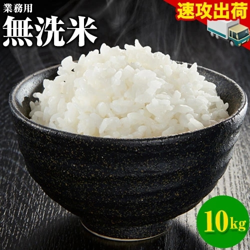 国産 業務用 無洗米 10kg 精米 無洗米 非常食 保存食
