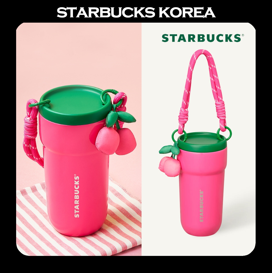 [韓国スターバ] 2026新学期 SS Positive Dante Tumbler 355ml