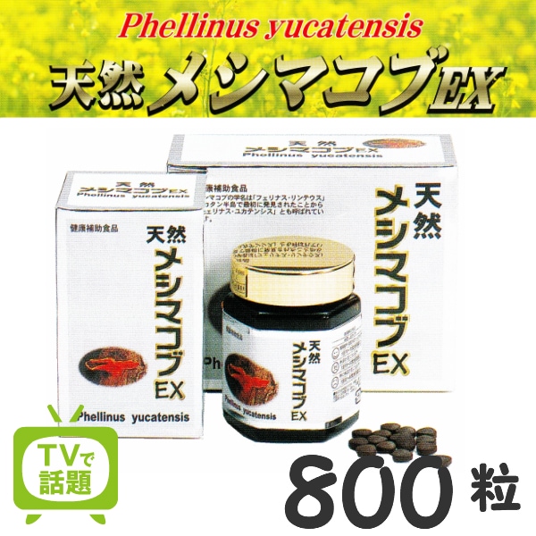 天然メシマコブEX 800粒 メシマコブ　霊芝 アガリクス 免疫 話題のメシマコブ 天然 サプリメント Phellinus yucatensis