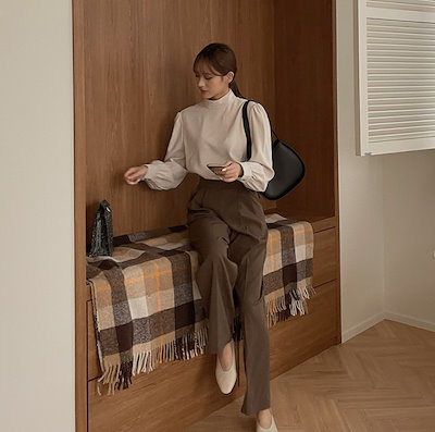 シフォン生地 トップス Tシャツ カットソー プルオーバー 袖あり 長袖 ボリューム袖 ハイネック セミフレア ストレート Iライン スマート シフォン かわいい シフォン生地 トップス Tシャツ カットソー プルオーバー 袖あり