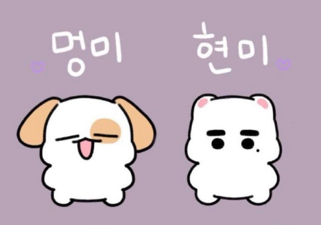 Stray Kids ストレイキッズ スキズ ヒョンジン スンミン マスターニム ぬいぐるみ １０ｃｍ Seungmin 승민 현진