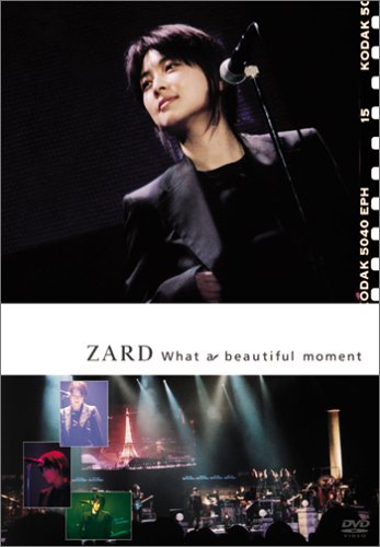 What a beautiful moment [DVD]