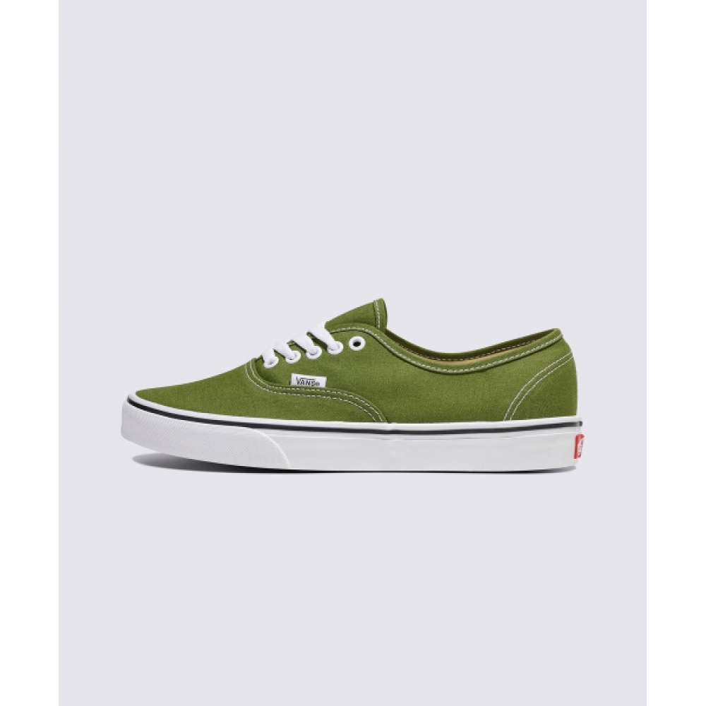 VANS オーセンティック-(カラーテリー) ペスト/VN0A2Z3ZCIB1