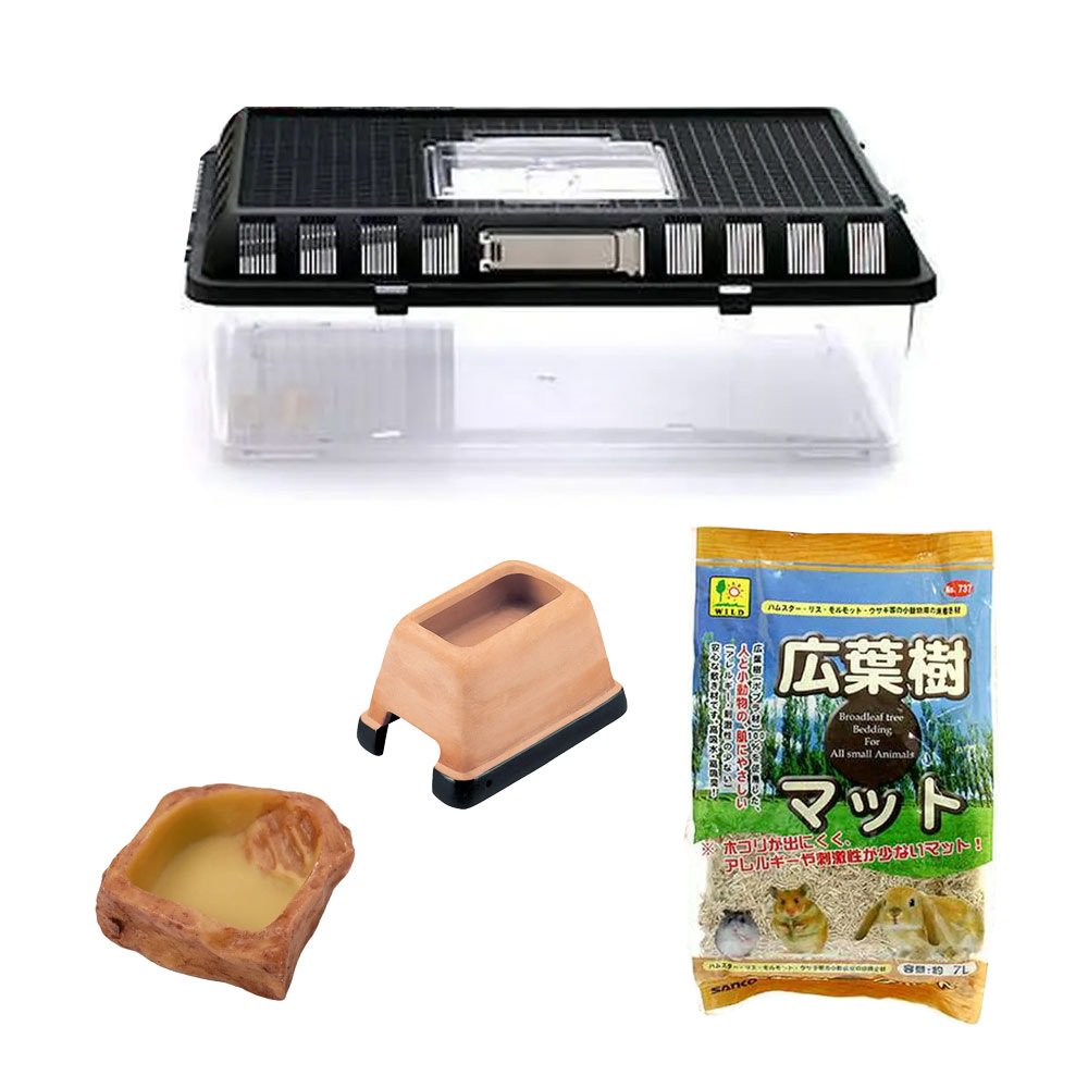 コーンスネーク飼育入門セット　飼育セット　スターターセット　ＣＲＣ17―10―98―00―00