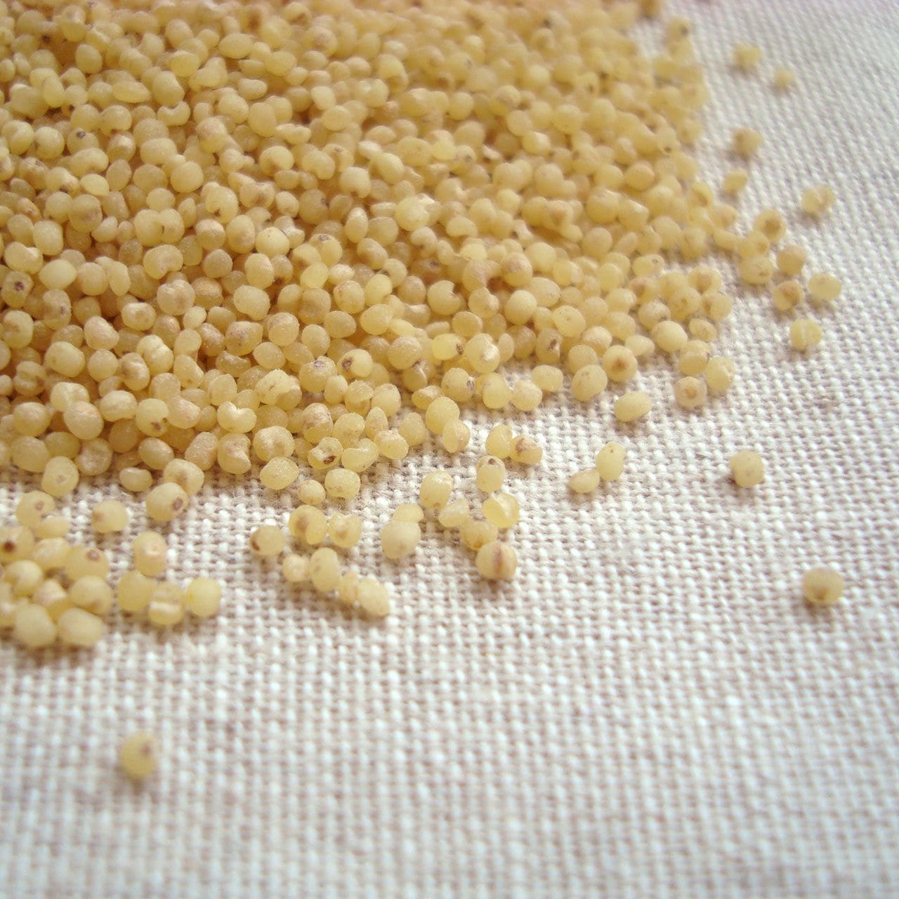 うるちひえ 5kg 2024年産 令和6年産 北海道産 店舗発送