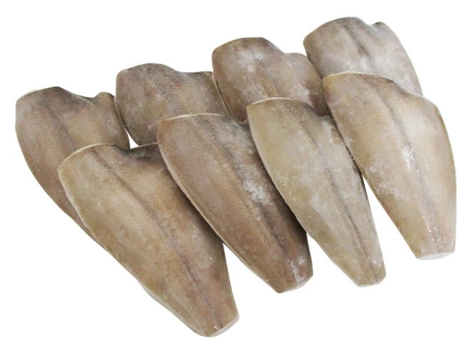 =カラスカレイ= ドレス 5-8尾前後 約4.5-5kg 鰈/カラスガレイ