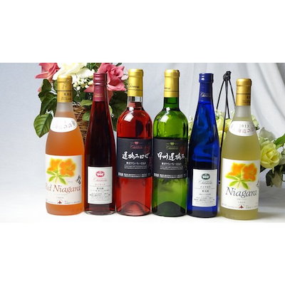 ヤングリヴィング インナーディフェンス インナーDフェンス 2つセット