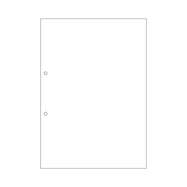 (まとめ) ヒサゴ マルチプリンター帳票(エコノミープライス) A4 白紙 2穴 BPE2001 1箱(2500枚) (×4セット)