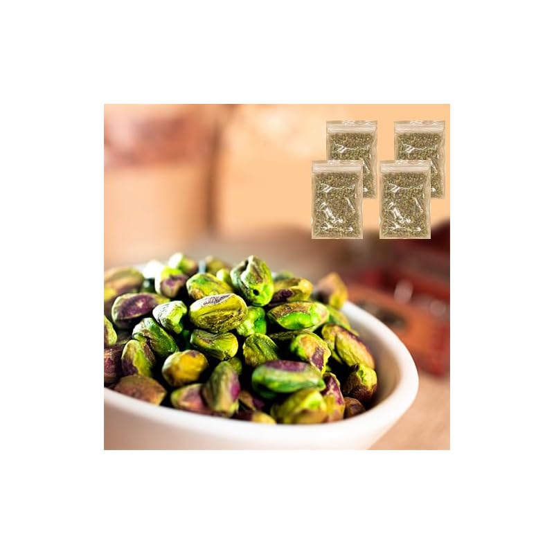 カシライフ 殻なしローストピスタチオ 1kg(250g×4袋) 塩なし 素焼き むき身 おつまみ お菓子 6,678円