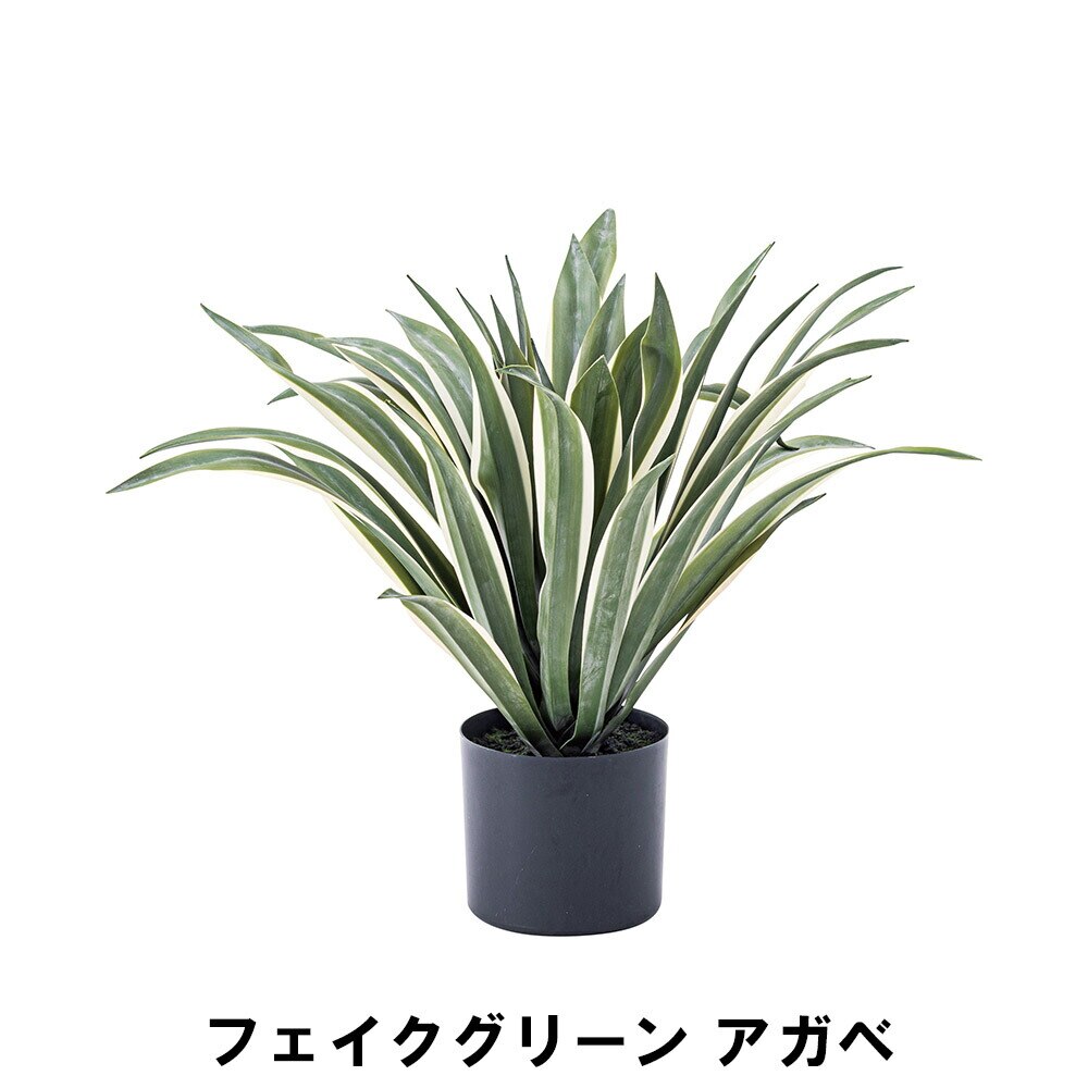 フェイクグリーン アガベ 幅63 奥行63 高さ50cm 造花 人工観葉植物 ガーデン ガーデン用品