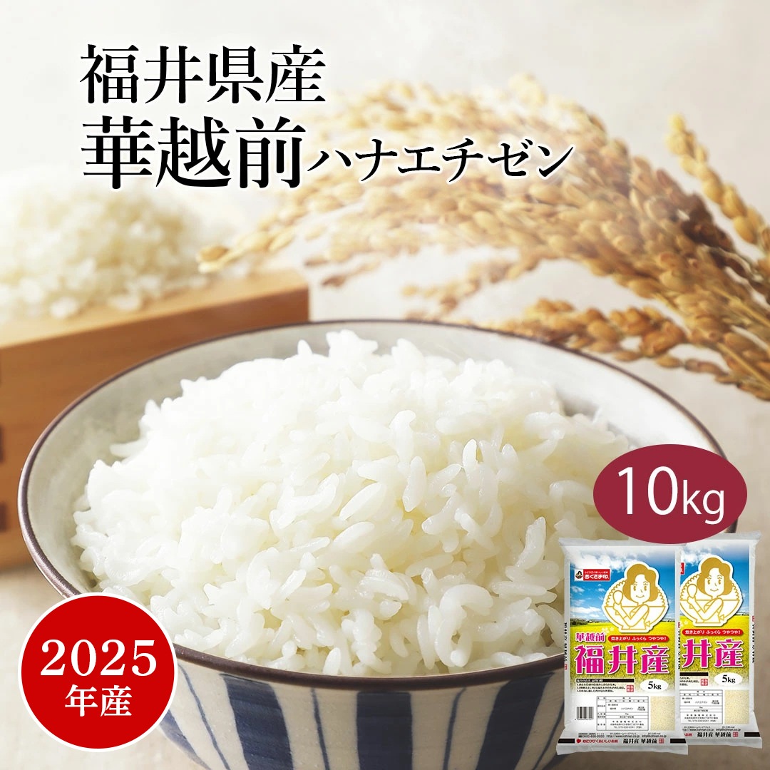 米 精米 福井県産 華越前 ハナエチゼン 10kg 5kg 2セット 令和7年産 お米 こめ 10キロ 安い おこめ 白米 国産 食品 ギフト 引っ越し 内祝い お歳暮 おくさま印