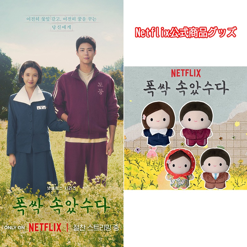 【Netflix公式商品グッズ限定数量】ポクサク ソガッスダ/お疲れ様「エスン, グァンシクのぬいぐるみ30cm」パク·ボゴム.アイユ