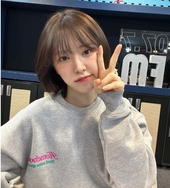 Homebodythings/Wear Red Velvet Wendy/Homebody Standard (Grey)